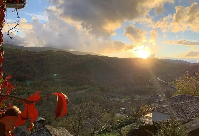 سوییت جونیور, Kipi Suites