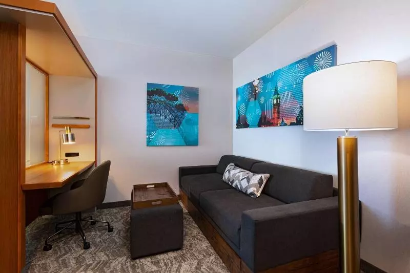 スタンダードスタジオ, Springhill Suites By Marriott Anaheim Maingate