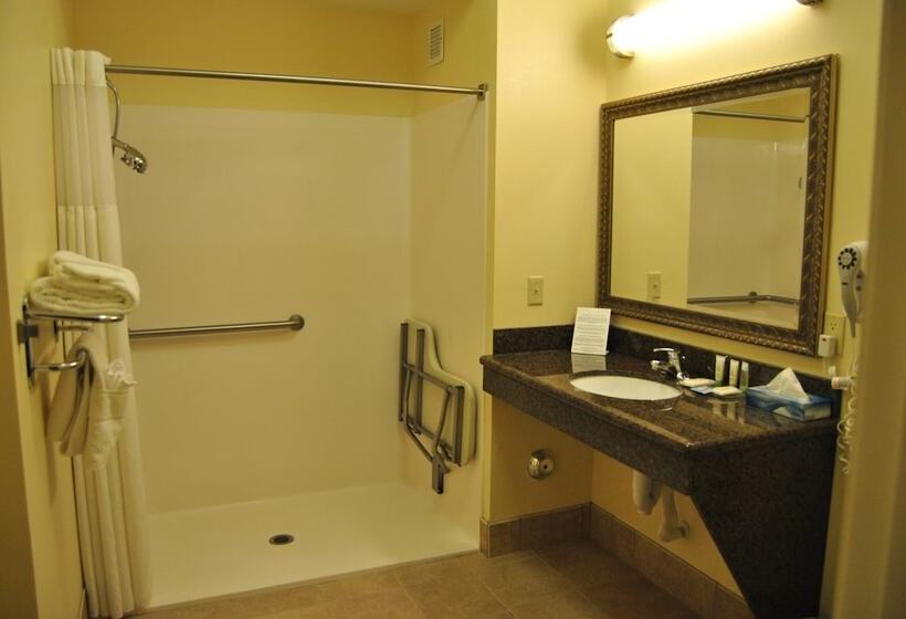 Люкс Адаптированный для Инвалидов, Staybridge Suites Lansing   Okemos By Ihg