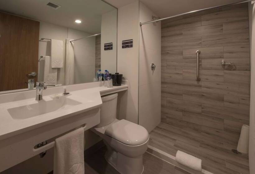 带2个双人床的标准工作室, Microtel Inn & Suites By Wyndham Guadalajara Sur