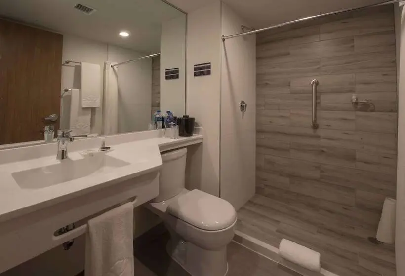２ダブルベッドのスタンダードルーム, Microtel Inn & Suites By Wyndham Guadalajara Sur
