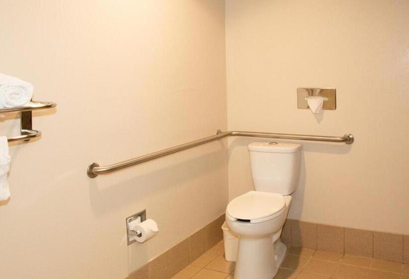 带大床的标准间, Best Western I 5 Inn & Suites