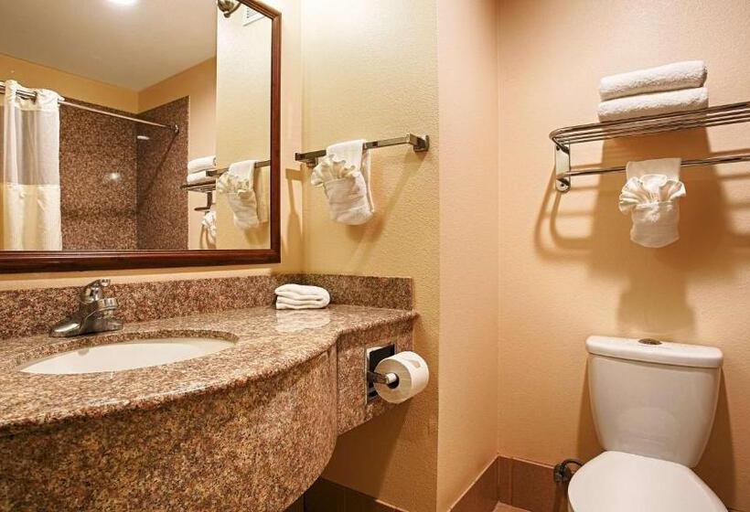 带大床的标准间, Best Western I 5 Inn & Suites