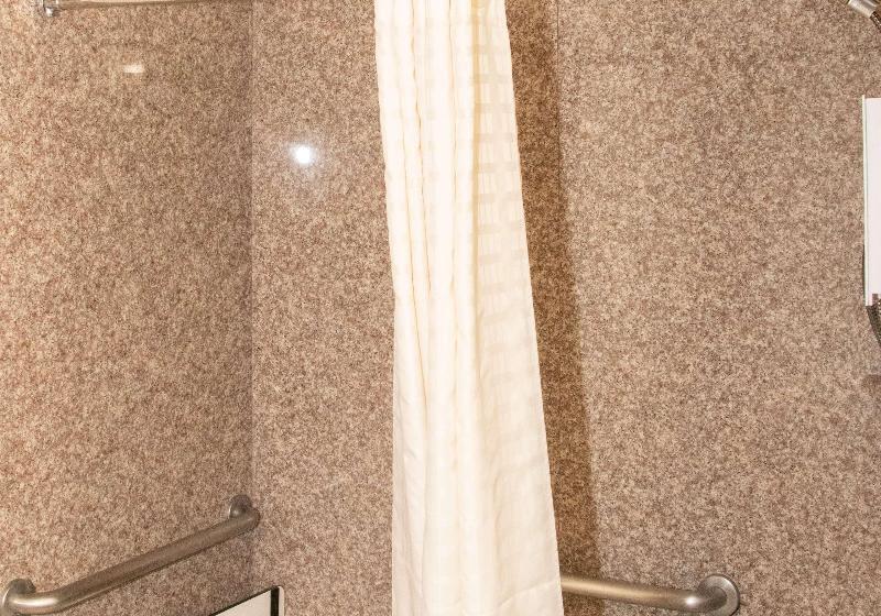 带大床的套房, Best Western I 5 Inn & Suites