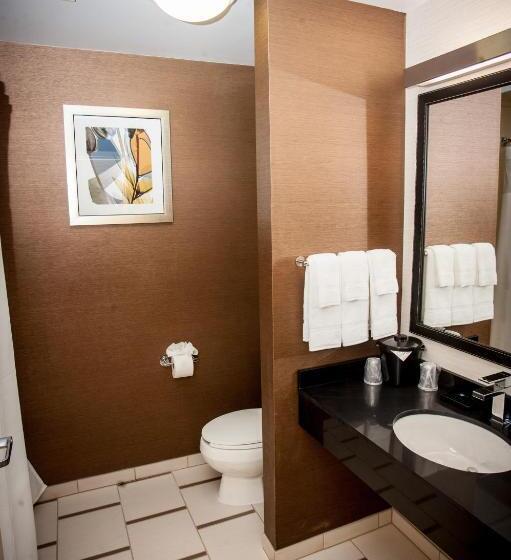 اتاق استاندارد با تخت بزرگ, Comfort Inn & Suites Akron South