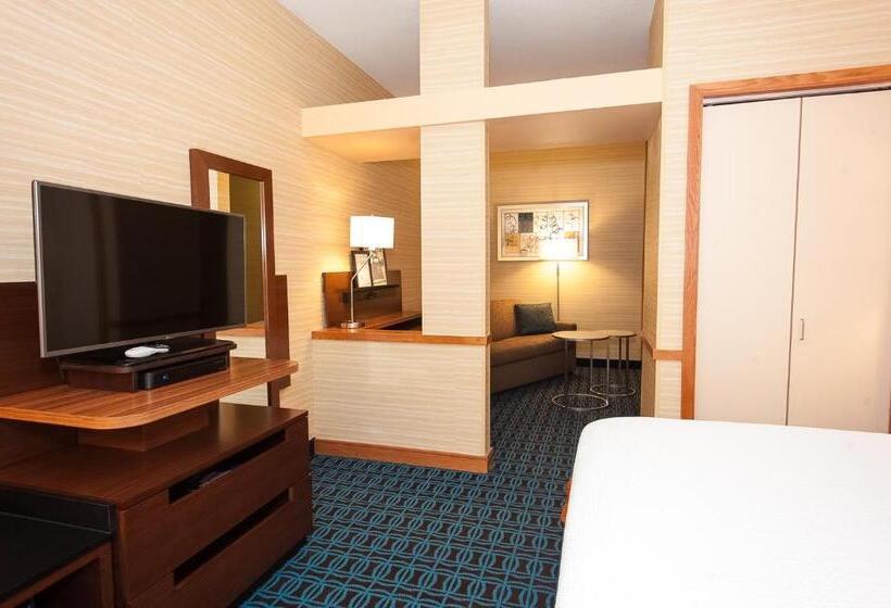 سوئیت با تخت بزرگ, Comfort Inn & Suites Akron South