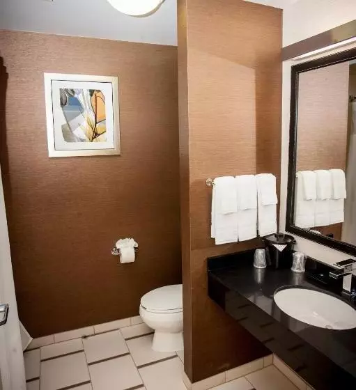 身障者適用キングサイズベッドルーム, Comfort Inn & Suites Akron South