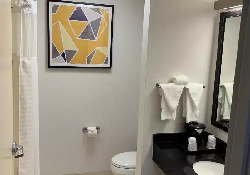 キングサイズベッドのスタンダードルーム, Comfort Inn & Suites Akron South