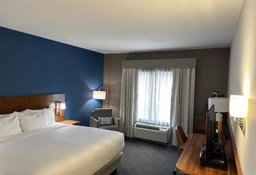 キングサイズベッドのスタンダードルーム, Comfort Inn & Suites Akron South
