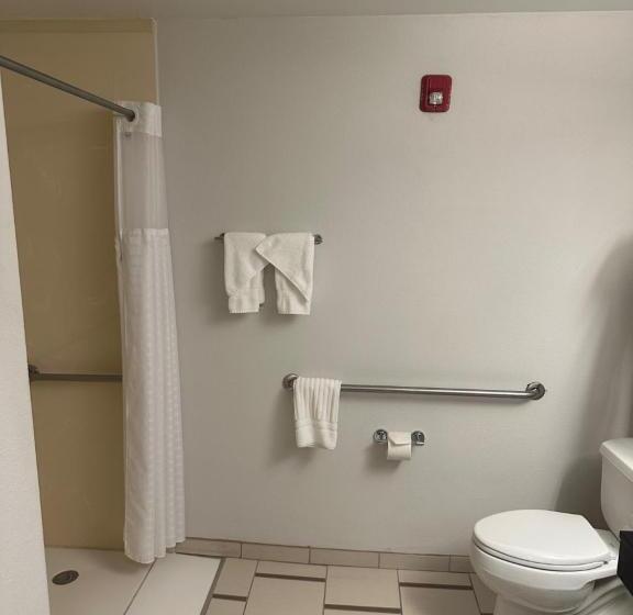 اتاق استاندارد با تخت بزرگ برای معلولان, Comfort Inn & Suites Akron South