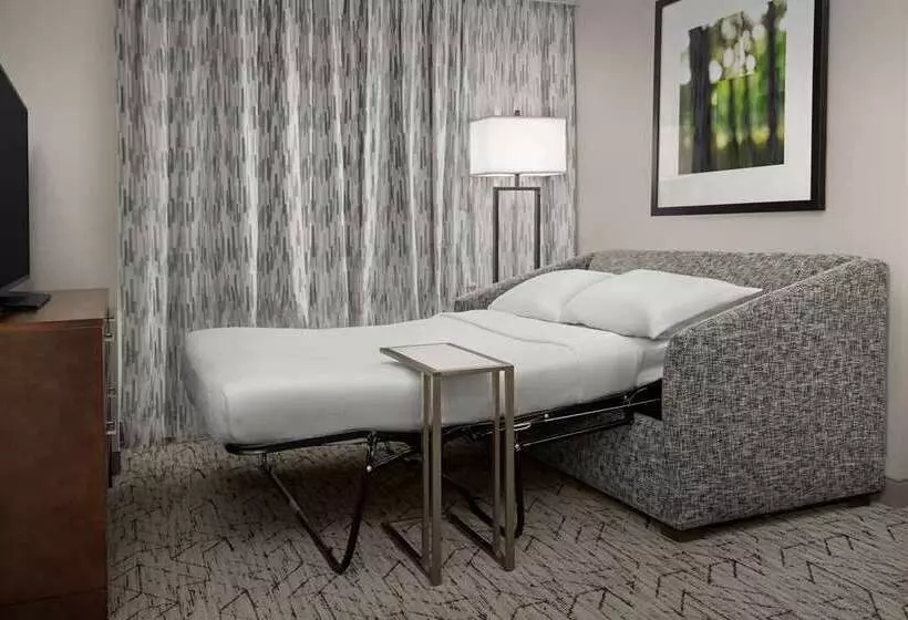 スタンダードルーム, Embassy Suites Springfield