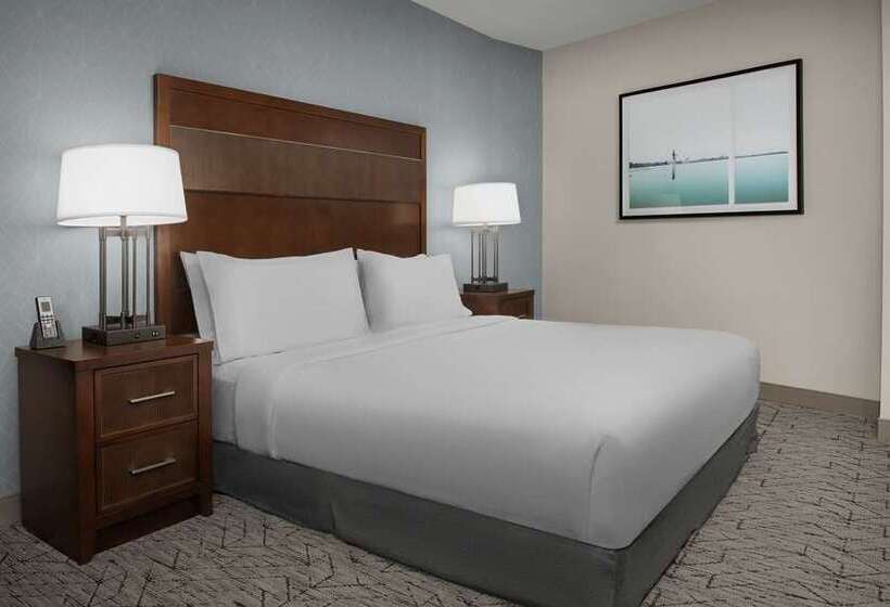 스위트, Embassy Suites Springfield