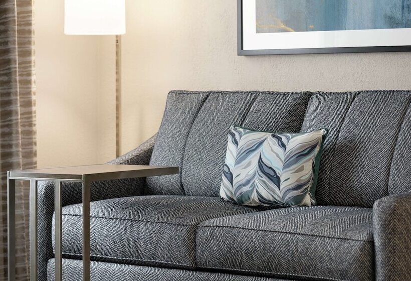 إستوديو قياسى, Hampton Inn & Suites Salisbury/fruitland