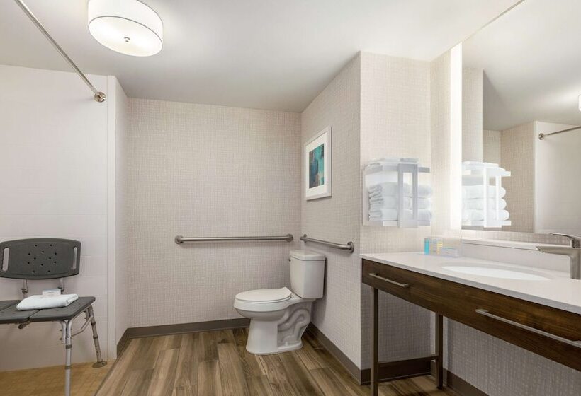 غرفة قياسية لذوى الاحتياجات الخاصة, Hampton Inn & Suites Salisbury/fruitland