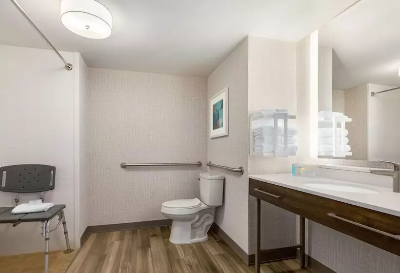 身障者適用スタンダードルーム, Hampton Inn & Suites Salisbury/fruitland