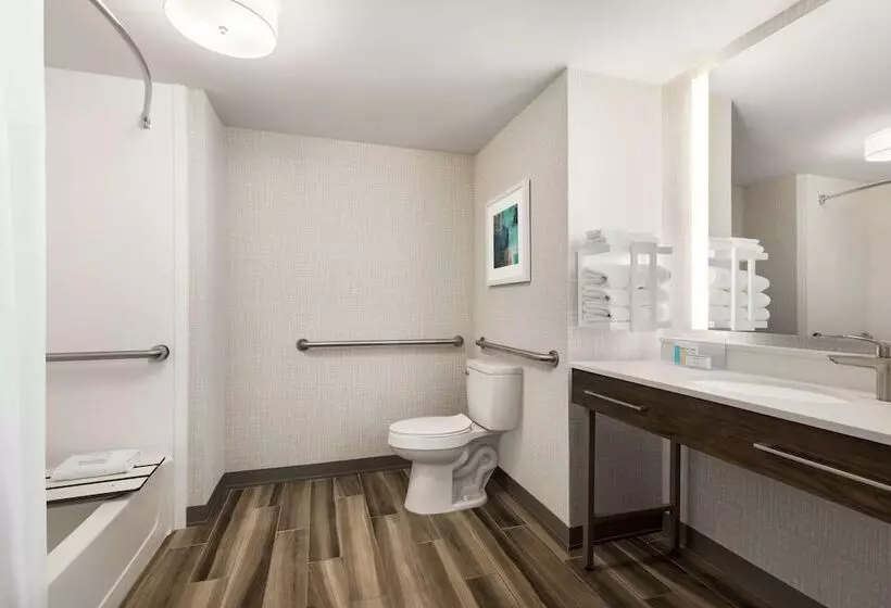 身障者適用スタンダードルーム, Hampton Inn & Suites Salisbury/fruitland