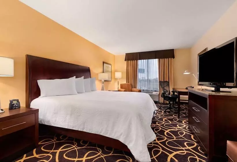 スタンダードルーム, Hilton Garden Inn Bossier City, La