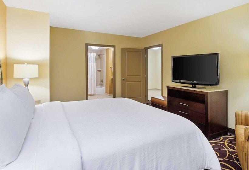 חדר סטנדרט מותאם לאדם עם מוגבלויות, Hilton Garden Inn Bossier City, La