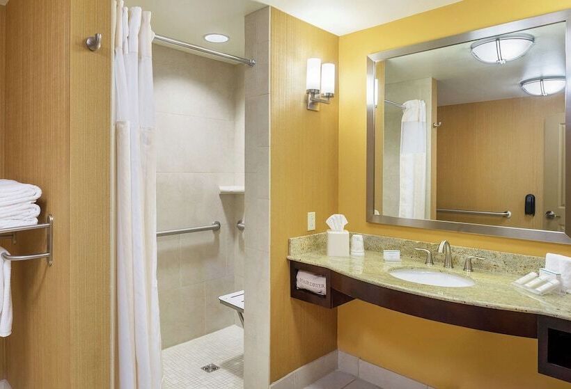 חדר סטנדרט מותאם לאדם עם מוגבלויות, Hilton Garden Inn Bossier City, La