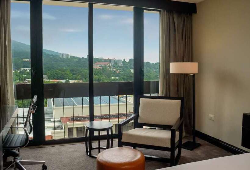 Номер Executive, Hilton Shijiazhuang