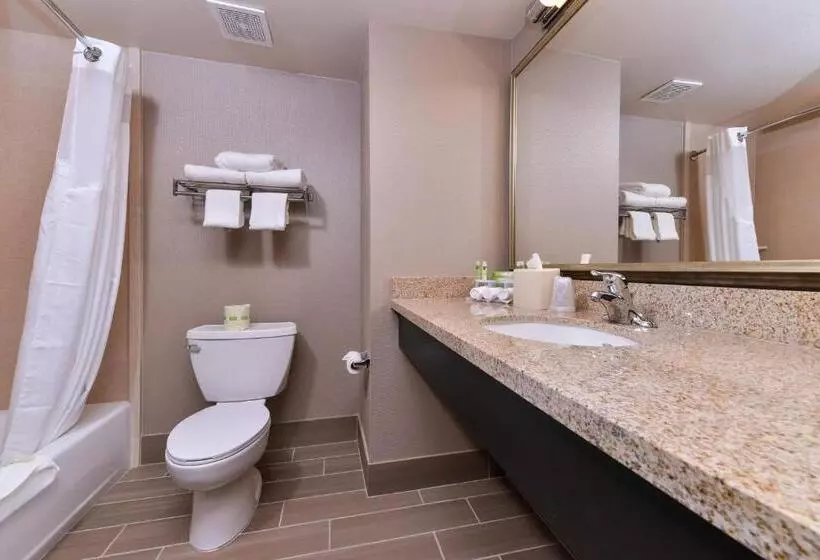 スタンダードルーム, Holiday Inn Express & Suites Indio   Coachella Valley, An Ihg