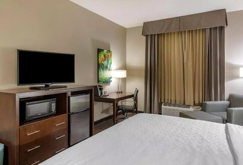 スタンダードルーム, Holiday Inn Express & Suites Indio   Coachella Valley, An Ihg