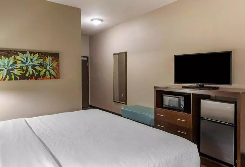 スタンダードルーム, Holiday Inn Express & Suites Indio   Coachella Valley, An Ihg