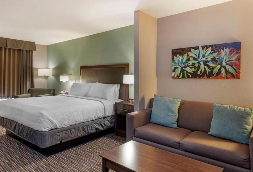 Стандартный Номер Кровать Кинг, Holiday Inn Express & Suites Indio   Coachella Valley, An Ihg