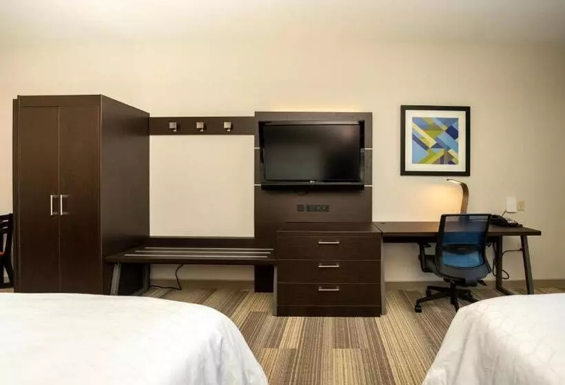 身障者適用スタンダードルーム, Holiday Inn Express & Suites Deer Park, An Ihg