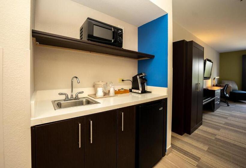 带双人大床的行政管理套房, Holiday Inn Express & Suites Deer Park, An Ihg