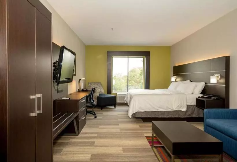 身障者適用キングサイズベッドルーム, Holiday Inn Express & Suites Deer Park, An Ihg