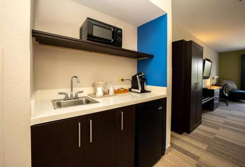 身障者適用キングサイズベッドルーム, Holiday Inn Express & Suites Deer Park, An Ihg