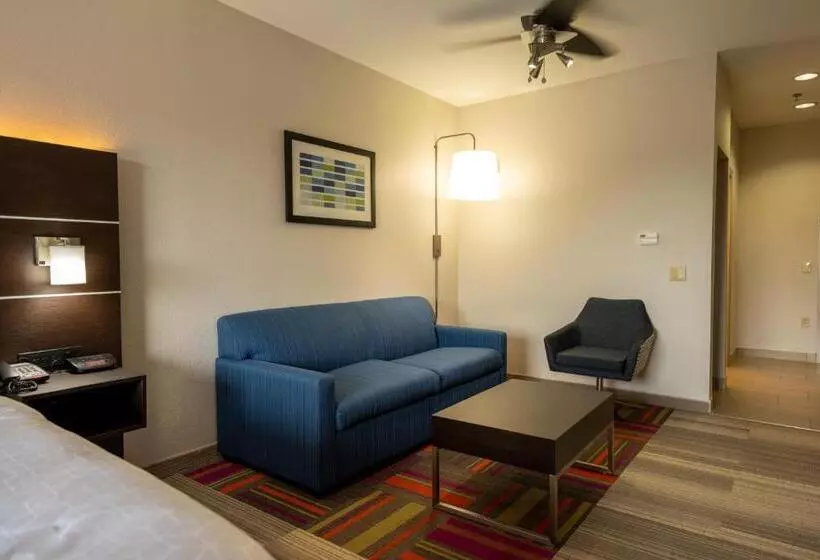 身障者適用キングサイズベッドルーム, Holiday Inn Express & Suites Deer Park, An Ihg