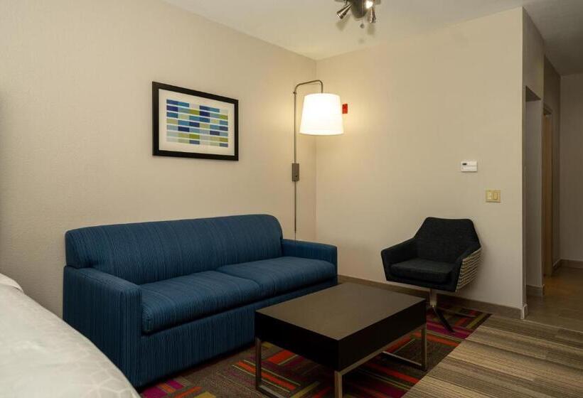 适合残疾人士使用的带超级大床的标准间, Holiday Inn Express & Suites Deer Park, An Ihg