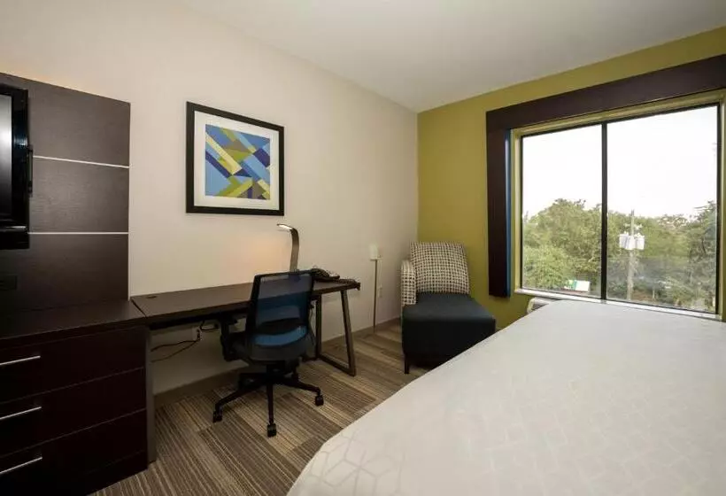 身障者適用キングサイズベッドルーム, Holiday Inn Express & Suites Deer Park, An Ihg