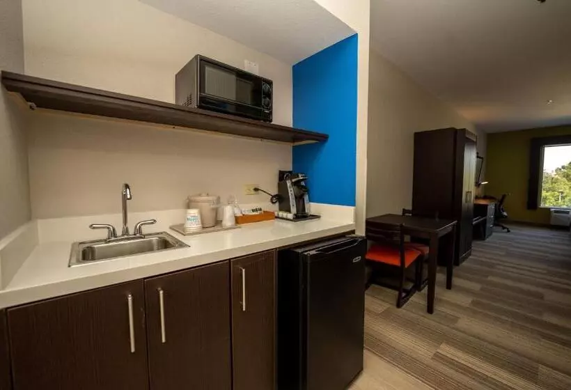 キングサイズベッドのスイートルーム, Holiday Inn Express & Suites Deer Park, An Ihg