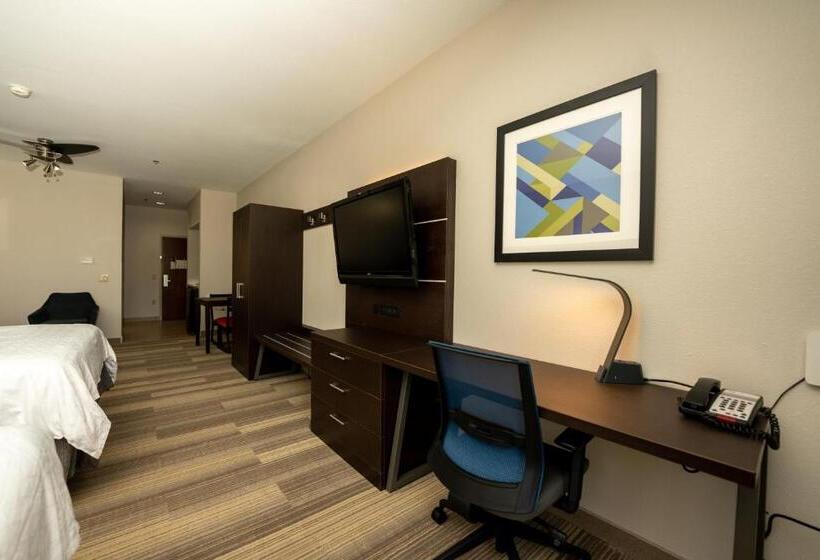 스위트 킹사이즈 침대, Holiday Inn Express & Suites Deer Park, An Ihg