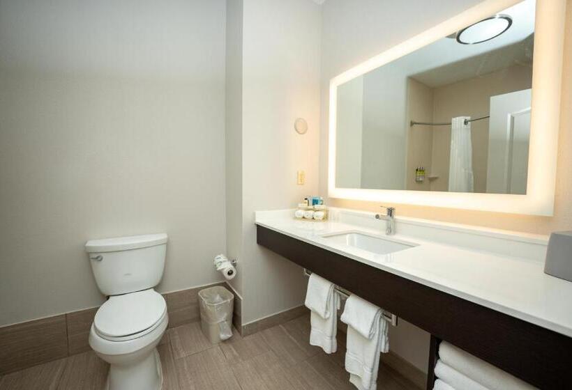 带大床的套房, Holiday Inn Express & Suites Deer Park, An Ihg