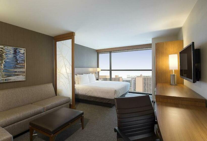 스탠다드 룸 킹사이즈 침대, Hyatt Place Washington Dc/us Capitol