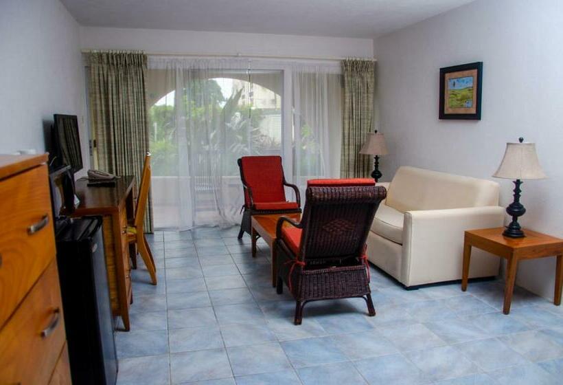 اتاق استاندارد با چشمانداز استخر, Infinity On The Beach