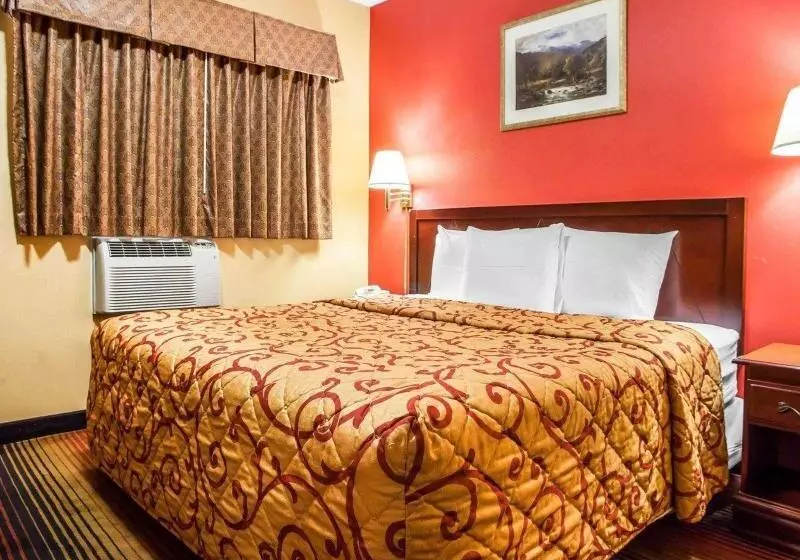 キングサイズベッドのスタンダードルーム, Rodeway Inn