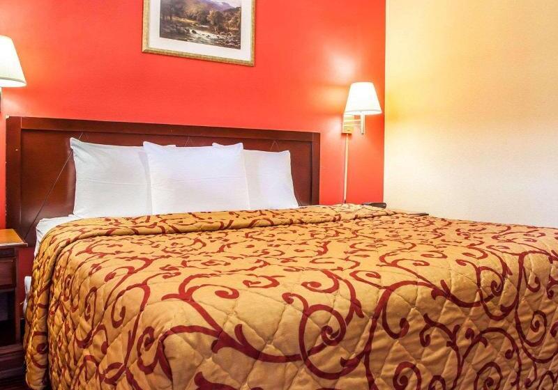 חדר סטנדרט עם מיטת קינג, Rodeway Inn