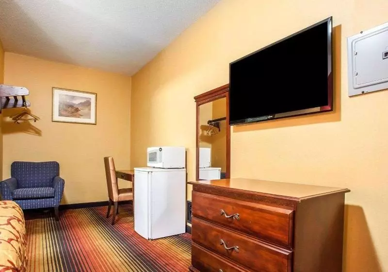 キングサイズベッドのスタンダードルーム, Rodeway Inn