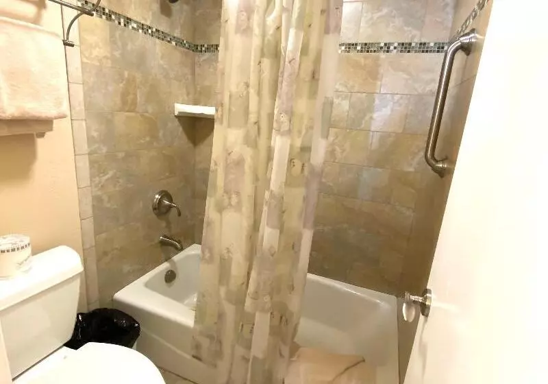 １ベッドルームアパートメント, Tahoe Lakeshore Lodge & Spa
