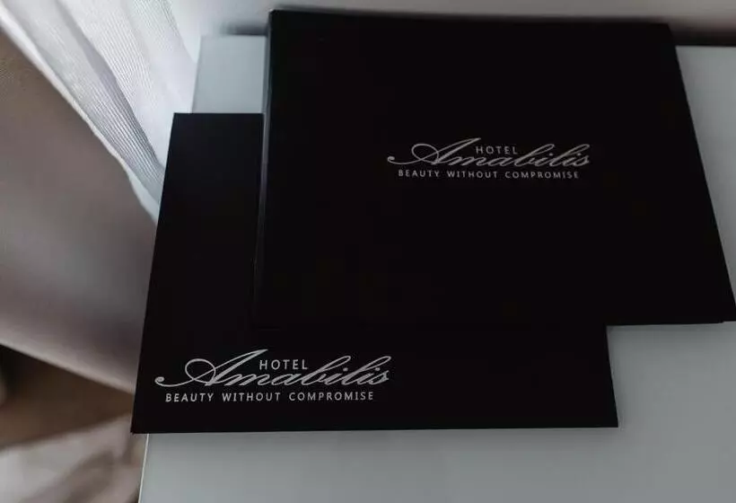 スタンダードルーム, Luxury Hotel Amabilis