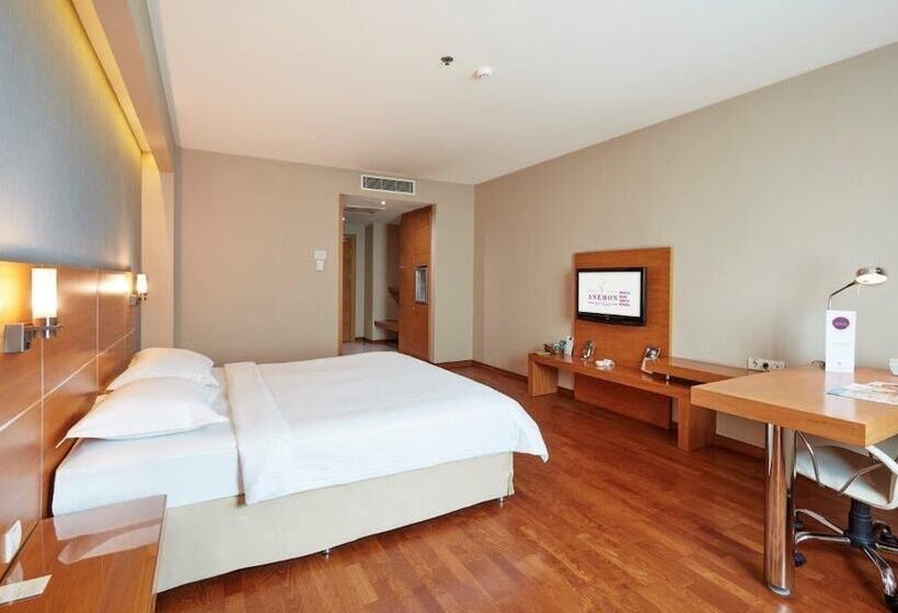 اتاق سوپریور, Anemon Cigli