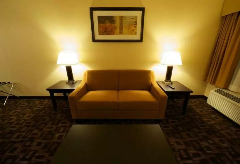 キングサイズベッドのスタンダードルーム, Days Inn & Suites By Wyndham Winnipeg Airport Manitoba