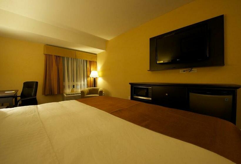 חדר סטנדרט עם מיטת קינג, Days Inn & Suites By Wyndham Winnipeg Airport Manitoba