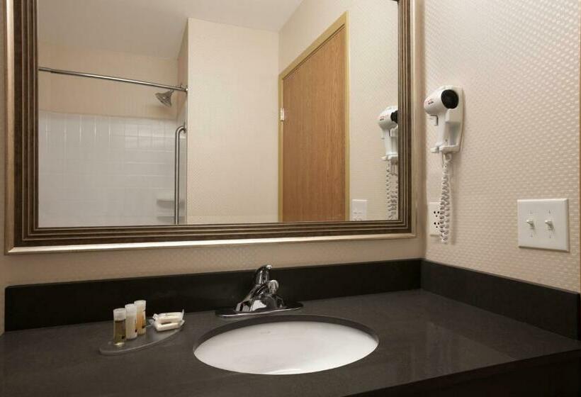 חדר סטנדרט עם מיטת קינג, Days Inn & Suites By Wyndham Winnipeg Airport Manitoba