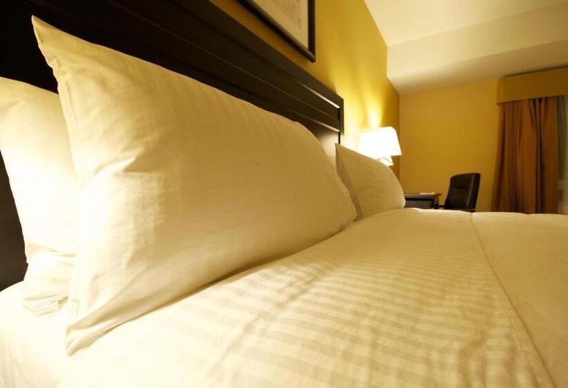 חדר דלוקס עם מיטת קינג, Days Inn & Suites By Wyndham Winnipeg Airport Manitoba